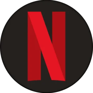 Netflix USA 15$ PIN
